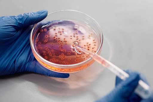Ethics Of Genetic Engineering And Cloning
